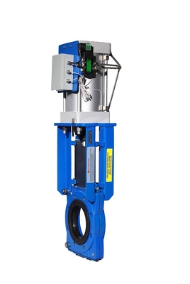Slurry knife gate valve