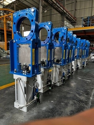 Slurry knife gate valve