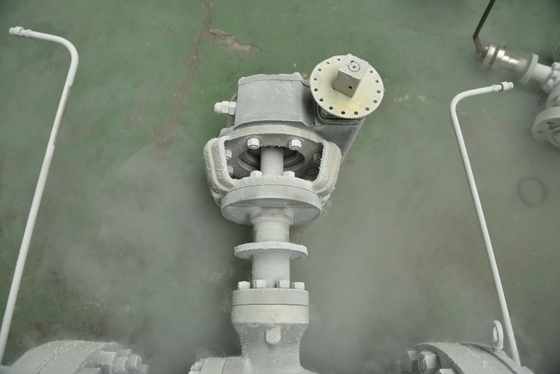 API6D Standard Cryogenic Valve